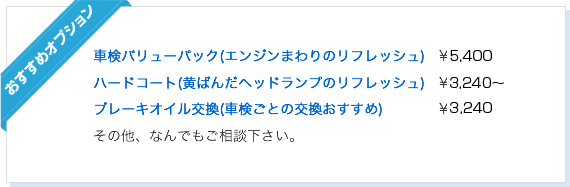 おすすめオプション